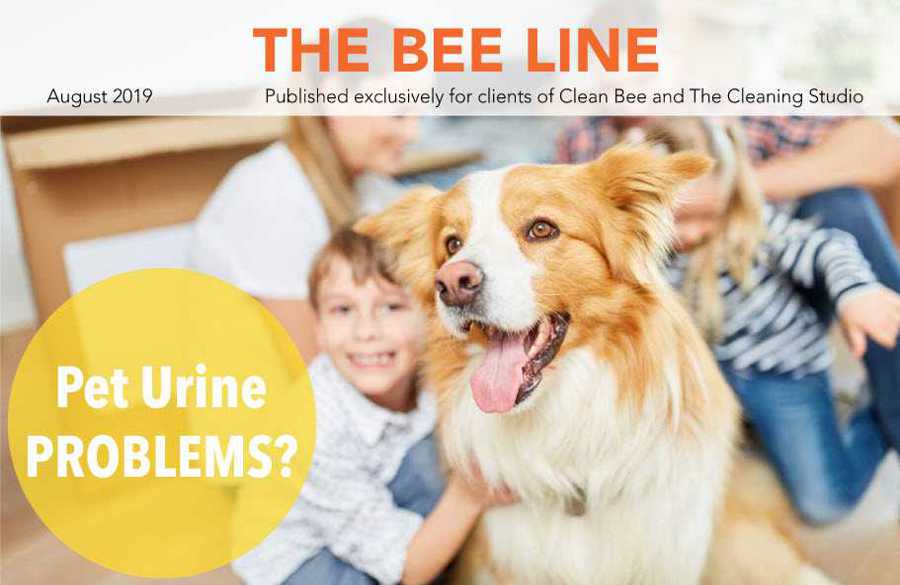 Clean Bee Newsletter August 2019
