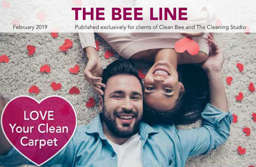 Clean Bee Newsletter February 2019