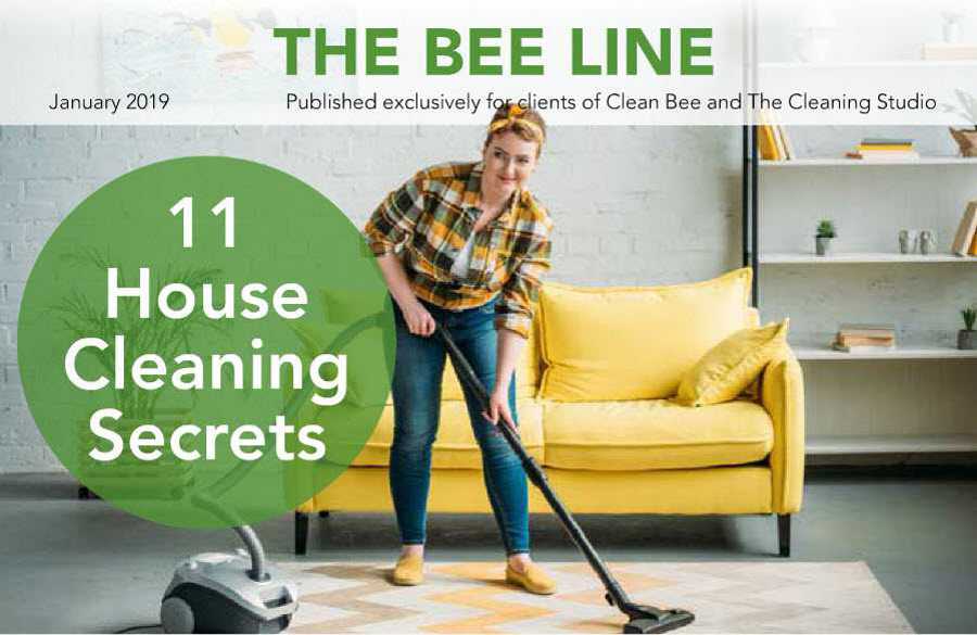 Clean Bee Newsletter January 2019