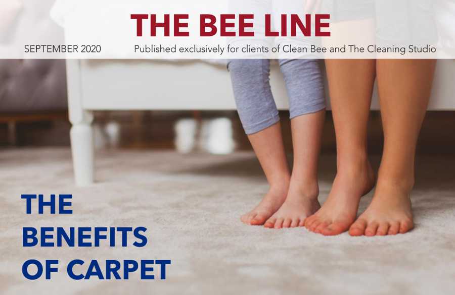 Clean Bee Newsletter September 2020 