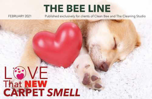 Clean Bee Feb Cover