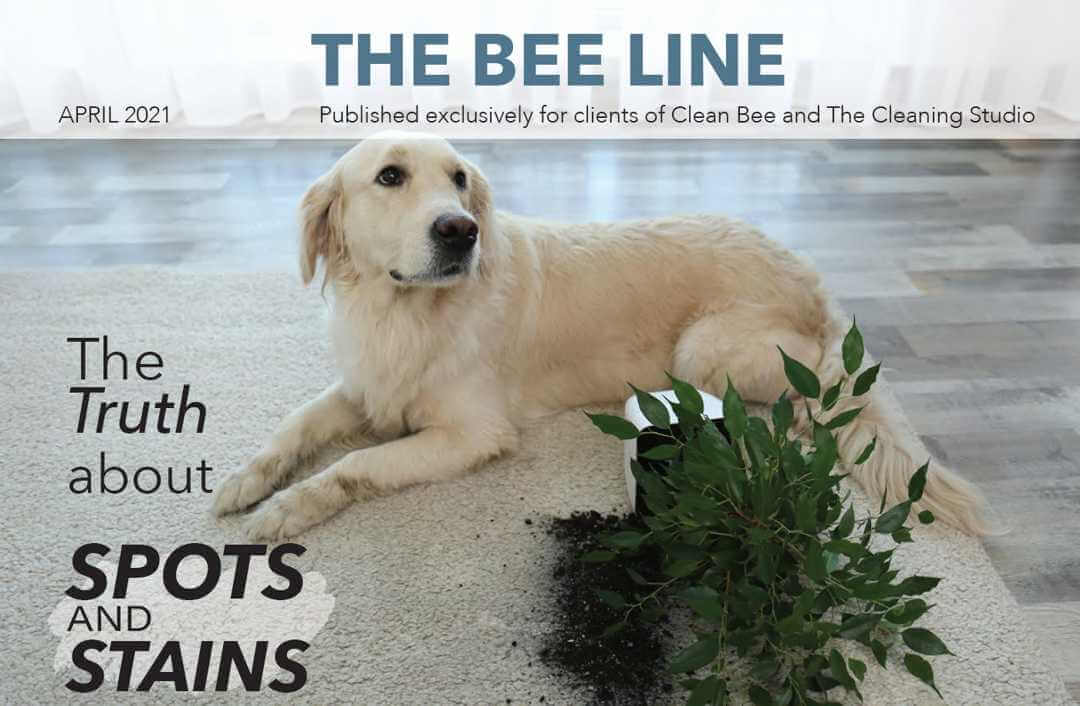 Clean Bee March Newsletter